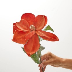 MAGNOLIA NARANJA TALLO 75CM