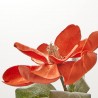 MAGNOLIA NARANJA TALLO 75CM