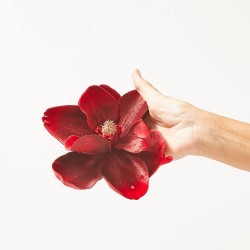 MAGNOLIA CLIP ROJO Ø 16 CM