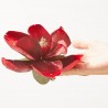 MAGNOLIA CLIP ROJO Ø 16 CM