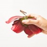 MAGNOLIA CLIP ROJO Ø 16 CM
