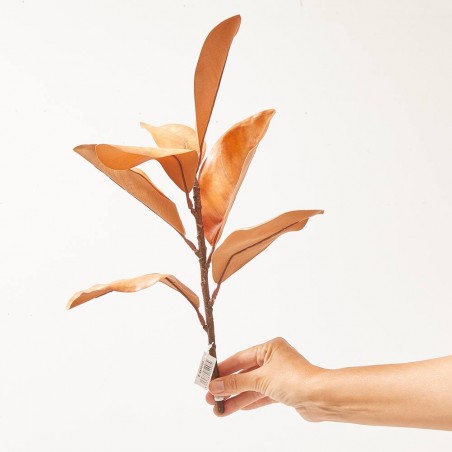 RAMITA MAGNOLIA X 7. 40 CM. COÑAC.