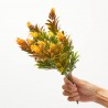 BUSH HOP NARANJA UV 37CM
