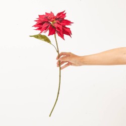 POINSETTIA. 68 CM. BURDEOS.