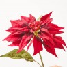 POINSETTIA. 68 CM. BURDEOS.