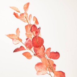 EUCALYPTUS DRY LOOK MIXTURADO TALLO 100CM