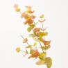 EUCALYPTUS X 6 OTOÑO TALLO 85 CM