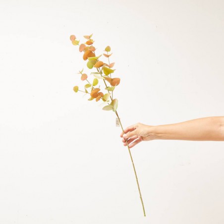 EUCALYPTUS X 6 OTOÑO TALLO 85 CM