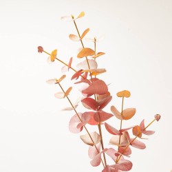 EUCALYPTUS X 6 BURDEOS TALLO 85CM