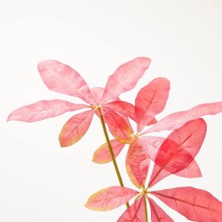 RAMA PACHIRA X 3- 110 CM. WINE CERISE.