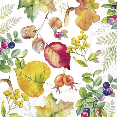 SERVILLETA HARVEST SEASON WHITE