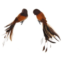 PÁJARO CLIP PLUMAS MARRÓN 25CM 2SURT