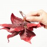 FLOR DE PASCUA ARTIFICIAL EN CLIP BURDEOS 25CM