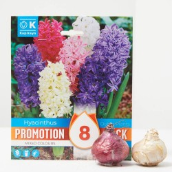 JACINTO MIX PROMOTION X8