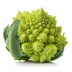 COLIFLOR ROMANESCO NAVONA HÍBRIDA F1 BANDEJA 6UDS