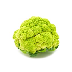 COLIFLOR VERDE TREVI HÍBRIDA F1 BANDEJA 6 UDS