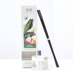 MIKADO BOTANICAL HIGUERA Y RAIZ ANGELICA 100ML