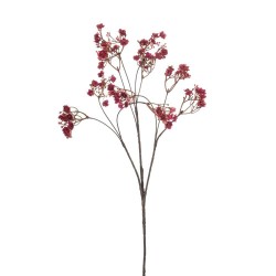 GYPSOPHILIA BURDEOS 68CM