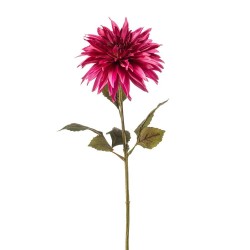 DAHLIA BURDEOS 70CM