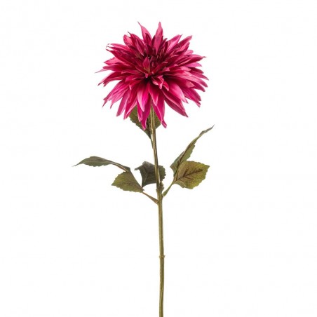 DAHLIA BURDEOS 70CM