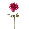 DAHLIA BURDEOS 70CM