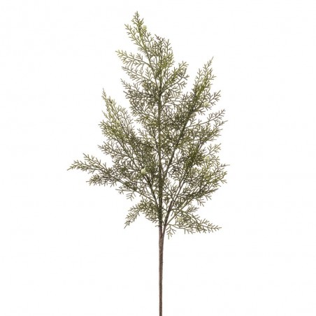 VARA CEDRO VERDE 80CM