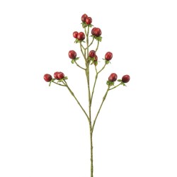 HIPERICO ROJO 60CM