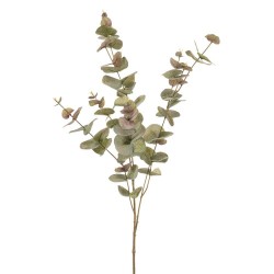 VARA EUCALIPTO GRIS 97CM