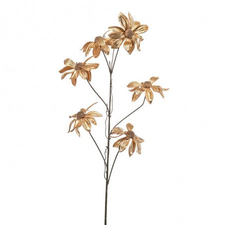 RUDBECKIA ORO 90CM