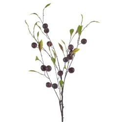 CIRUELA 105CM