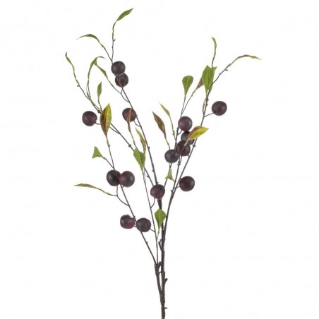 CIRUELA 105CM