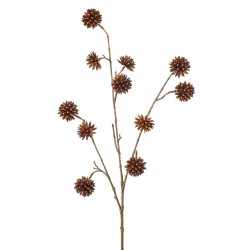 CAMPTOTHECA X 3 MARRON 102CM