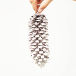 PIÑA NEVADA COLGANTE