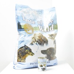 LOTE TASTE SALMÓN 12KG REGALO LATA