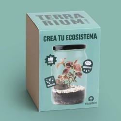 KIT TERRARIUM