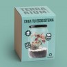KIT TERRARIUM