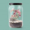 KIT TERRARIUM
