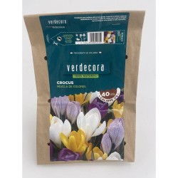 BULBOS CROCUS MEZCLA 40 UDS