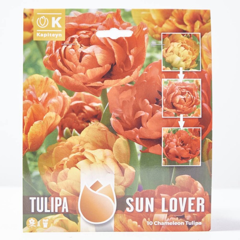 BULBOS TULIPÁN CAMALEÓN ROJO/NARANJA X10