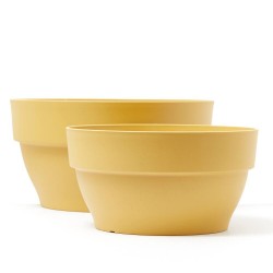 BOWL VIBIA MOSTAZA