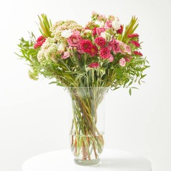 RAMO VUELTA A LA RUTINA