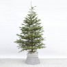 ABETO NATURAL ABIES NORMANDIANA GRAN FORMATO