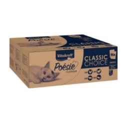 BIG PACK POESIE CLASSIC SALSA 96 UND