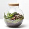 TERRARIO NATURAL HAVANNA S D19 H20