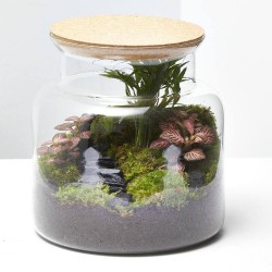 TERRARIO JUNGLE S D19 H20