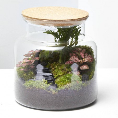 TERRARIO JUNGLE S D19 H20