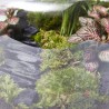 TERRARIO JUNGLE S D19 H20