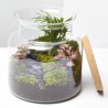 TERRARIO JUNGLE S D19 H20