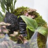 TERRARIO JUNGLE M D19 H30