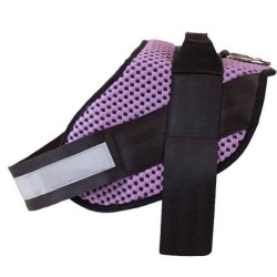 BULL ARNES STRONG HAPPY PETS PURPLE